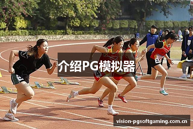 介绍PG模拟器